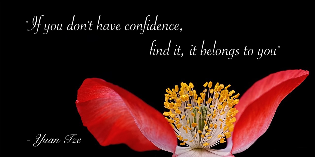 Find confidence