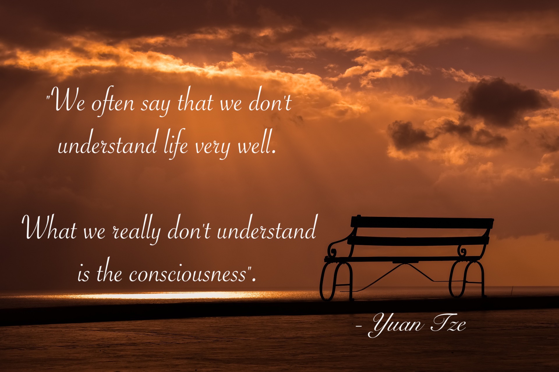 Understanding life and conscisouness